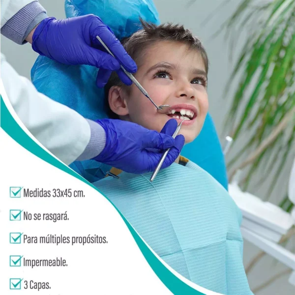 1725048166625-MKOOW1EGZJ-1-3 Babero Dental o Campo de Trabajo Impermeable 33x45cm 100 Unds DESECHABLES CRANBERRY